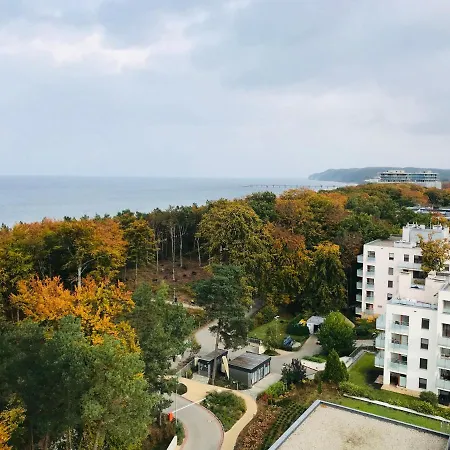 Aquamarina Onyx Gold